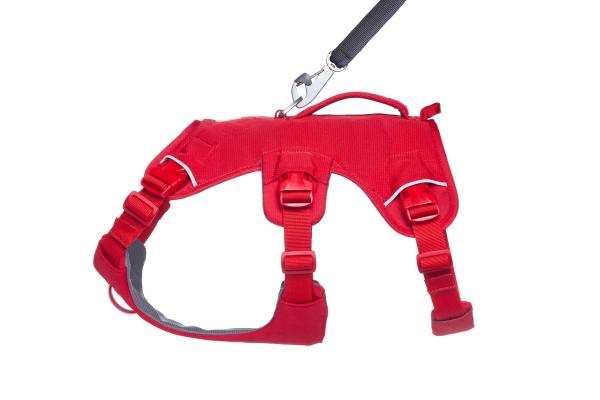 Ruffwear Web Master Hundegeschirr Red Canyon Gr. XXS Ruffwear Web Master Hundegeschirr Red Canyon Gr. XXS